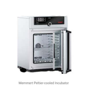 Memmert Peltier-Cooled Incubator